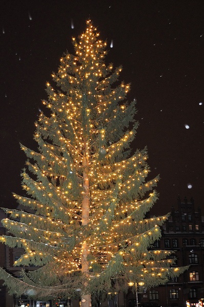 Weihnachtszeit   0049.jpg